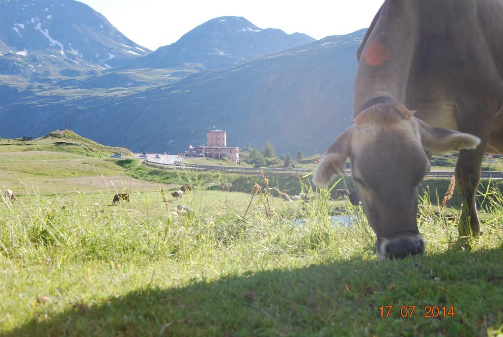 Hotel Restaurant Monte Leone Simplon Exterior photo